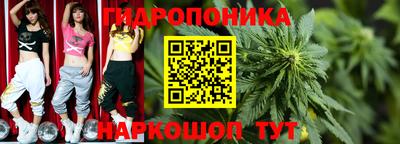 PSILOCYBIN Обнинск