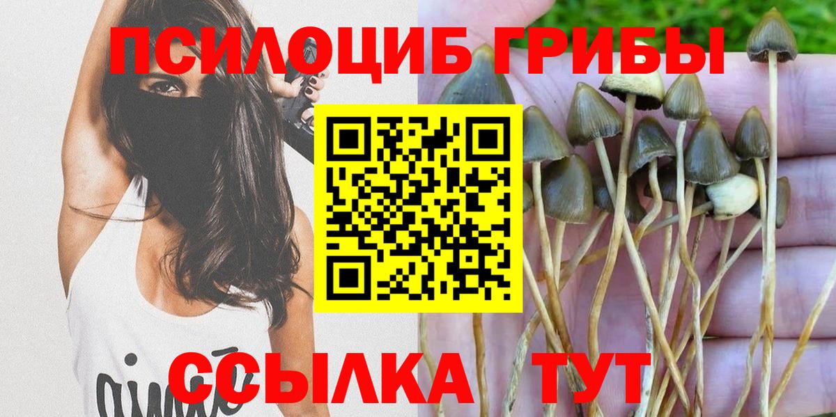 Псилоцибиновые грибы Magic Shrooms  Вход с VPN  Псилоцибиновые грибы ЛСД  Томск 