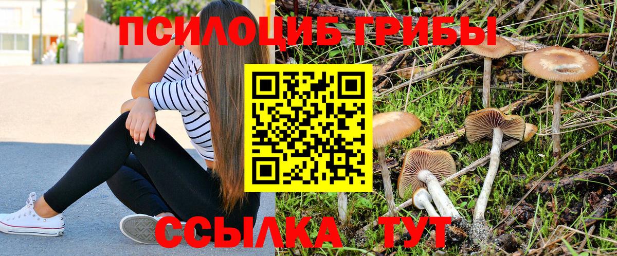 Псилоцибиновые грибы MAGIC MUSHROOMS Томск
